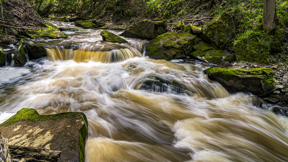 Spencer Gorge Victoria Day