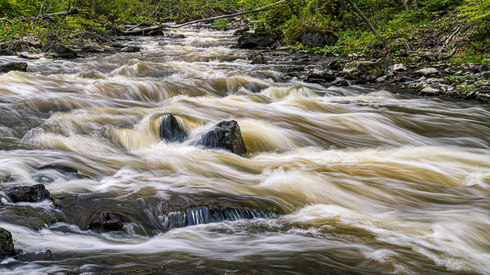 Spencer Gorge Victoria Day