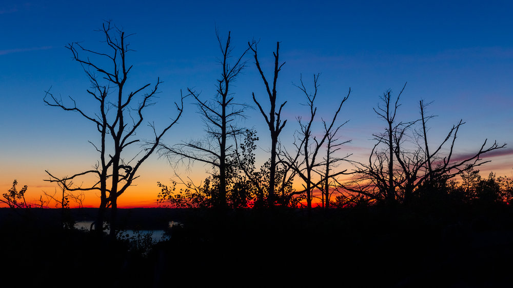 MuskokaCanadaDay-8581.jpg