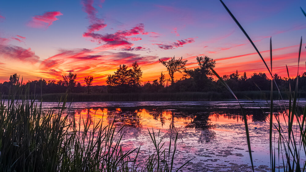 Fiery Orangeville Marsh Sunset