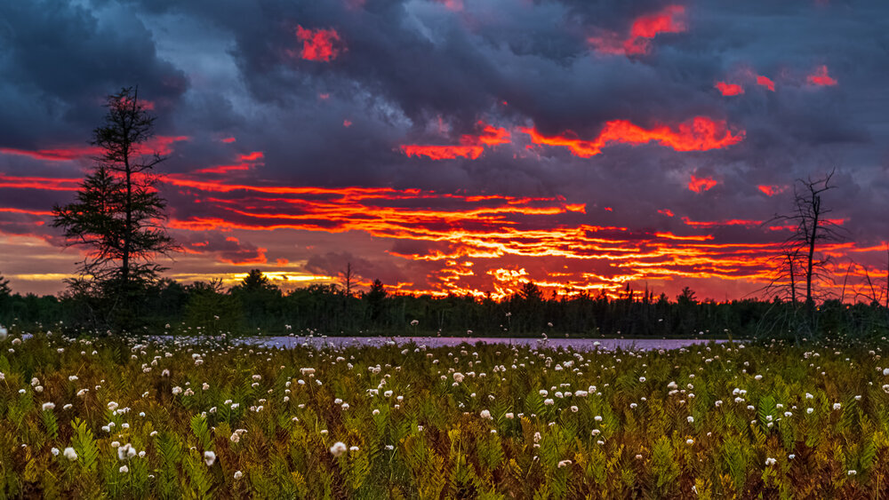 Torrance Barrens Intense Sunset