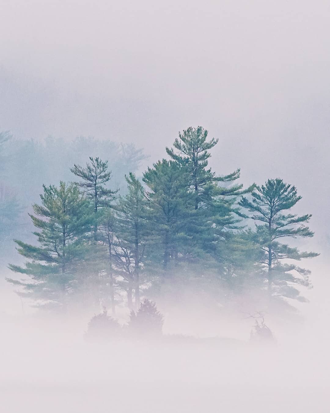 🌲💚🌧️💧💙 🎶 Here comes the rain again. 🎵 This is another view of rain falling on the rapidly melting ice in the lake and the dense fog that rose. Instead of Snake Island, this is one of the more distant islands in Lost Bay. 🌧️💧💙🌲💚 Swipe ⬅️ f