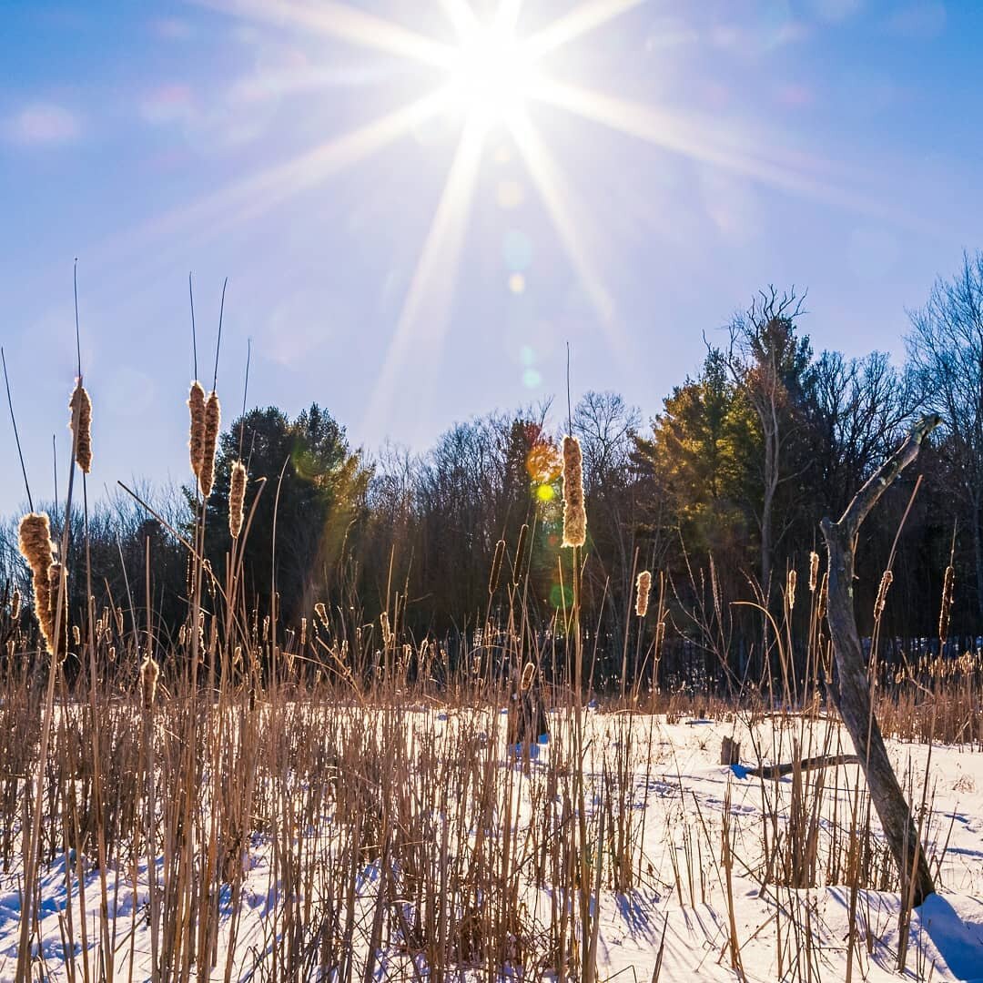 🌨️❄️ Keeping the winter 💙 going. Different day, different place, same beautiful ☀️. If you haven't lately or don't usually, GET OUT AND ENJOY IT!!! ❄️💙 Swipe ⬅️ for 4 images. 
.
.
.
.
.
#outdoors #outdoorphotography #lake #water #sky #sun #trees #