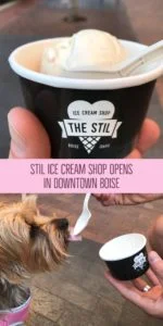 STIL-Ice-Cream-Shop-150x300.jpg