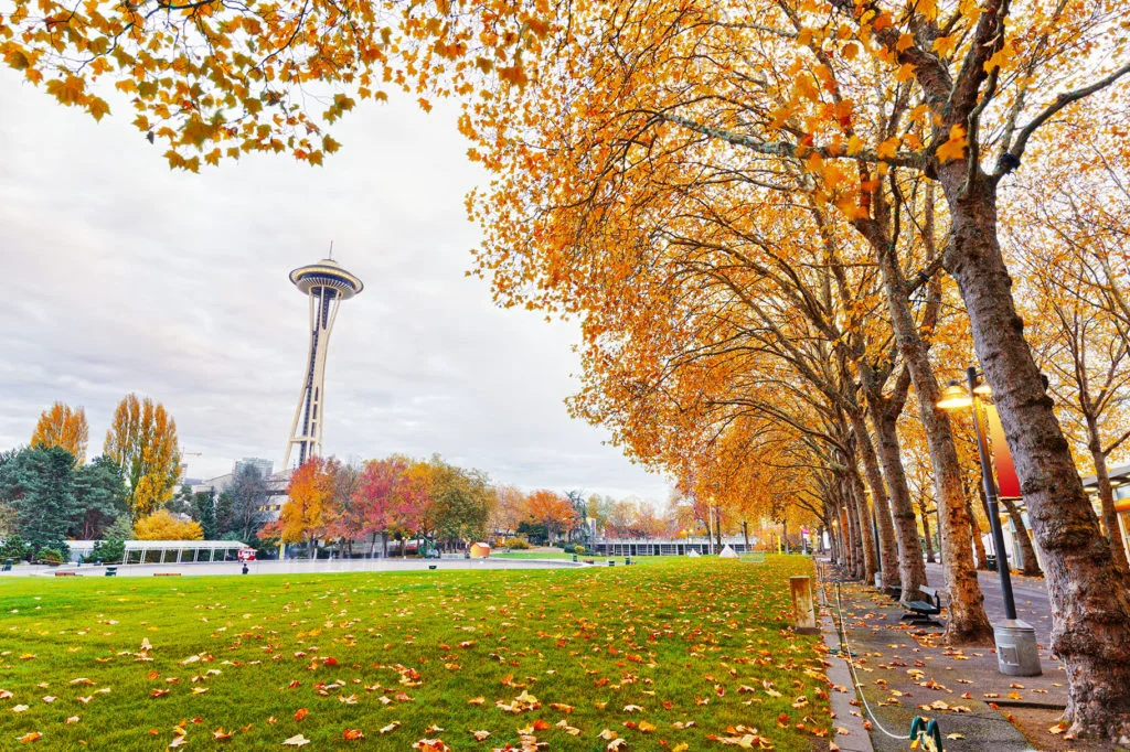 AdobeStock_104984120LowRes-1024x682.jpg