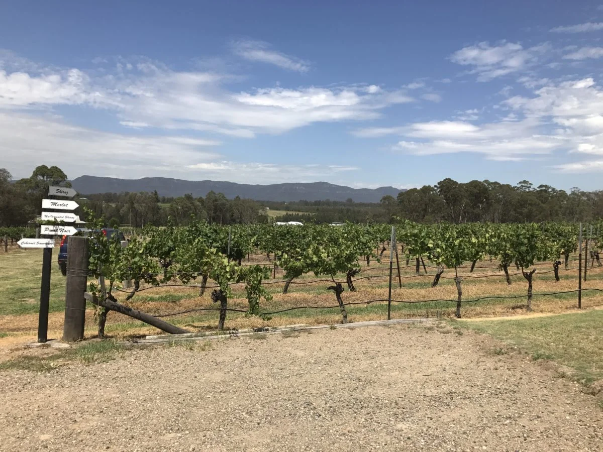 Australian Wine Country - Hunter Valley