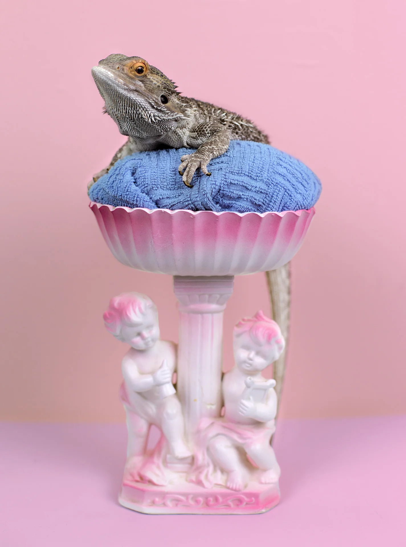 littleking.jpg