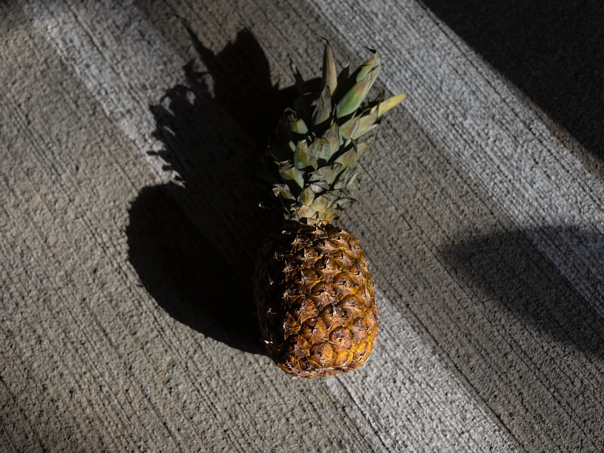 DSCF1713.jpg