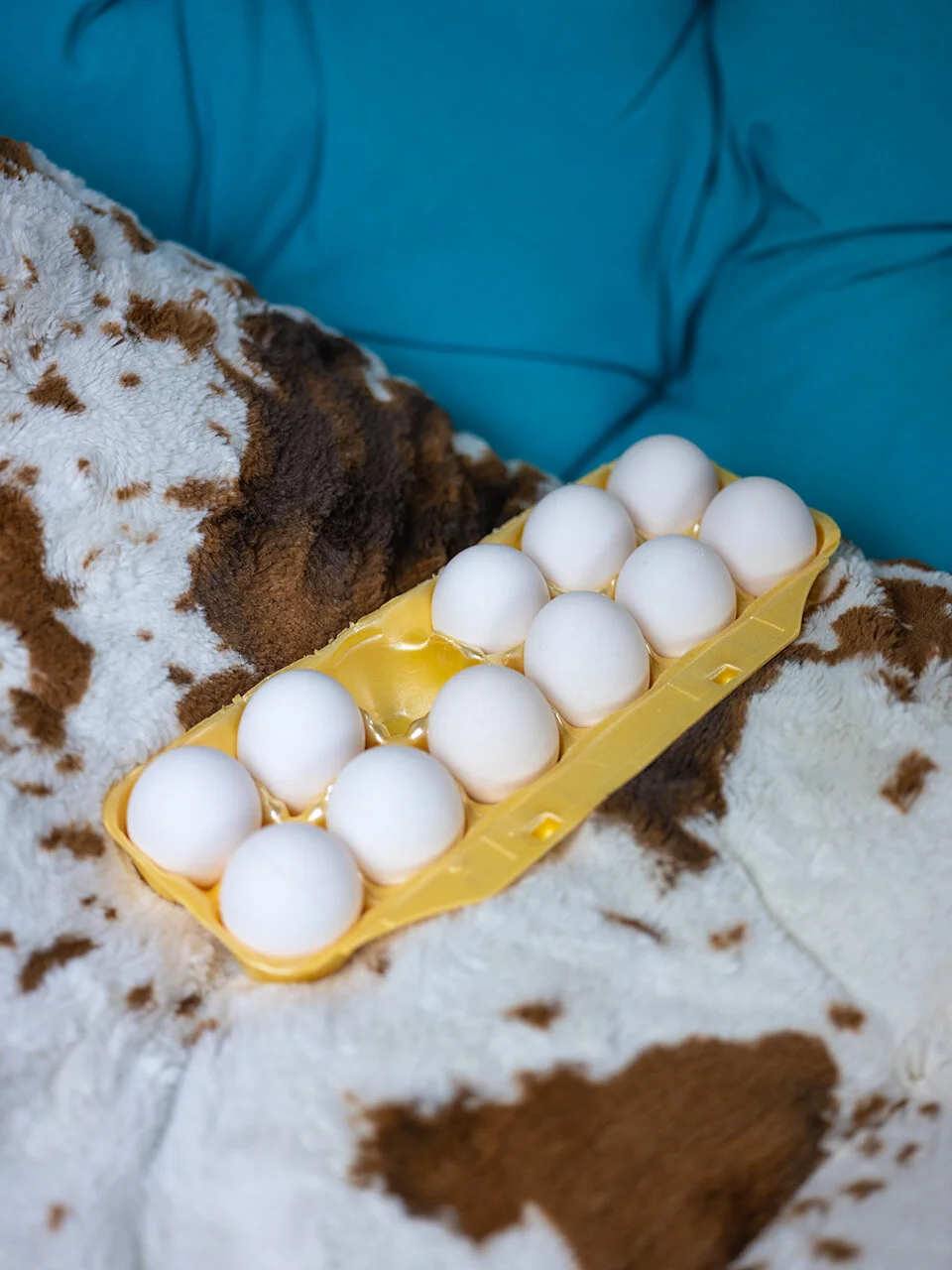 eggo.jpg