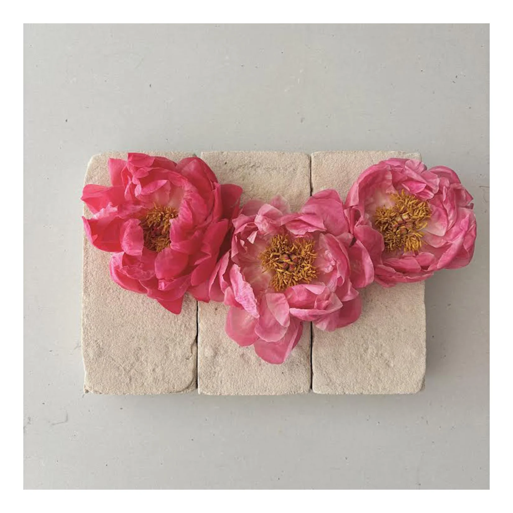 PeonyII.jpeg