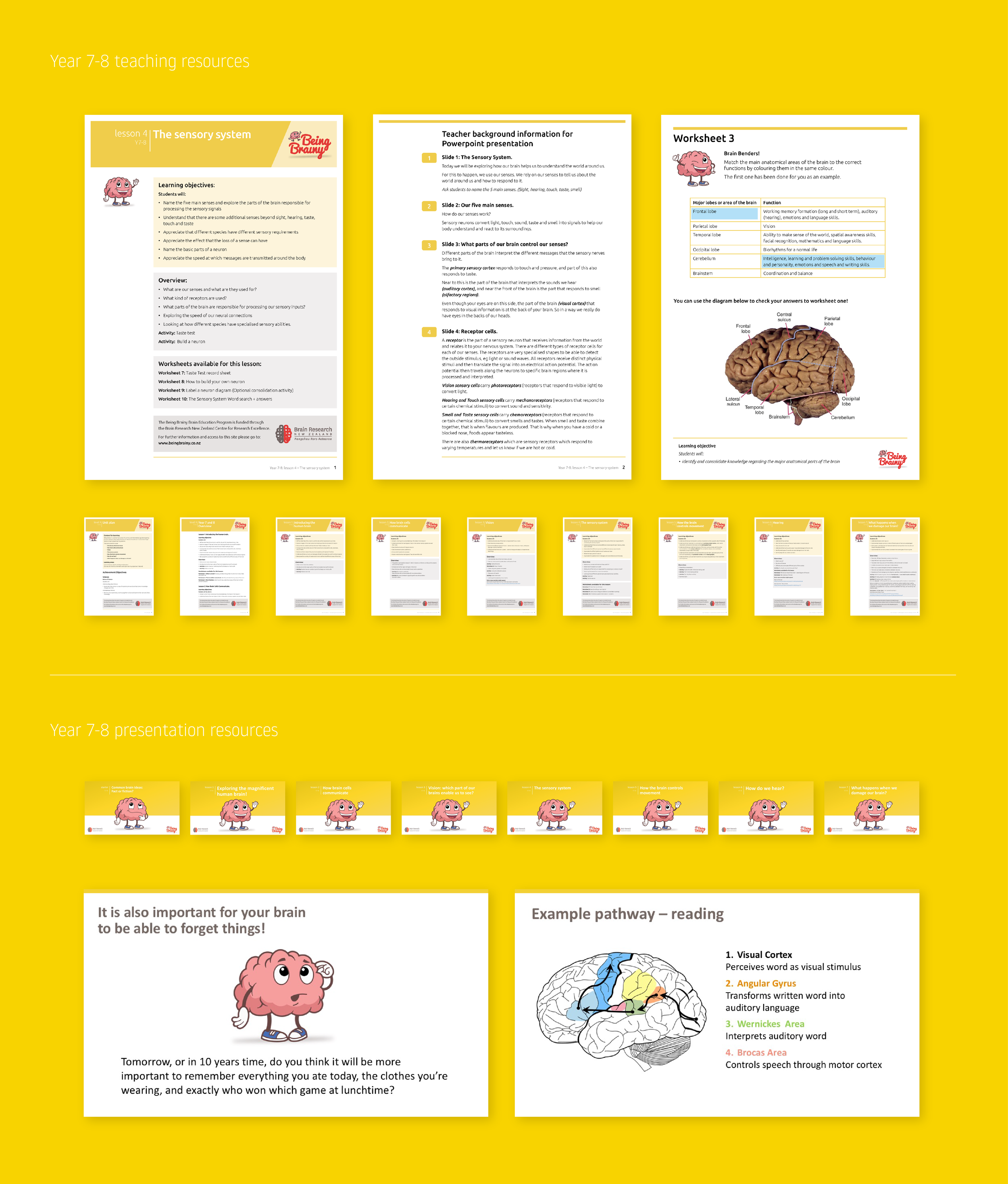 Being Brainy-07.png