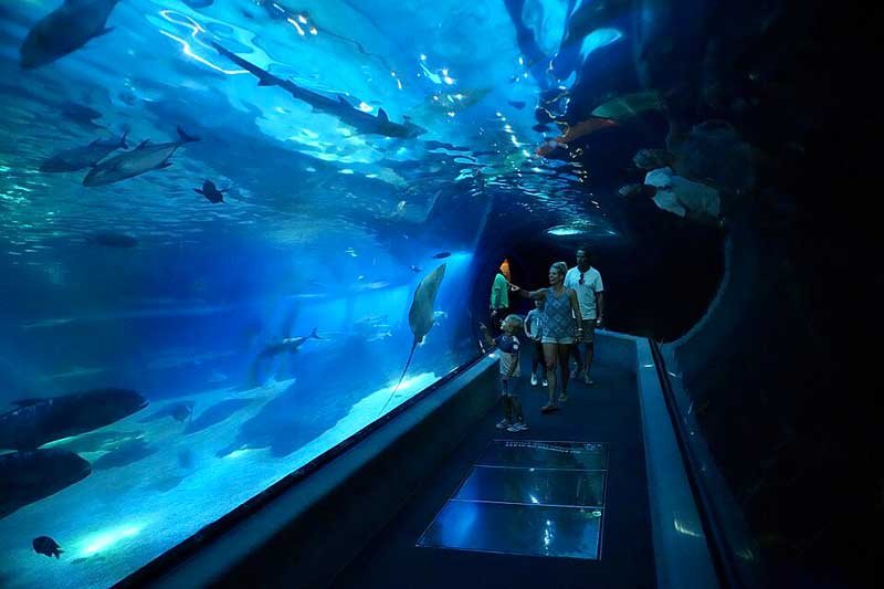 Maui_Ocean_Center-02_800px.jpg