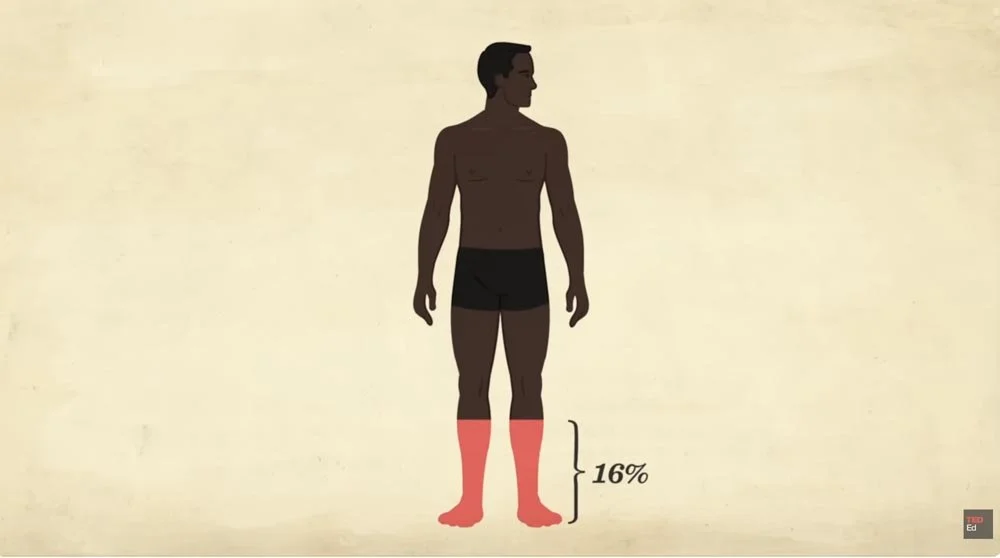 skin_TED_39.40 PM.jpg