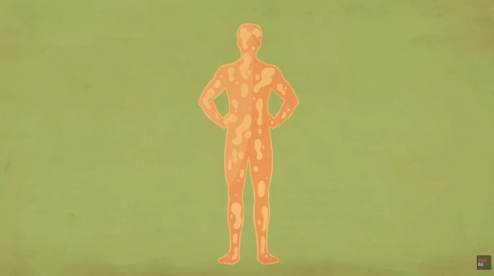 skin_TED_43.03 PM.jpg