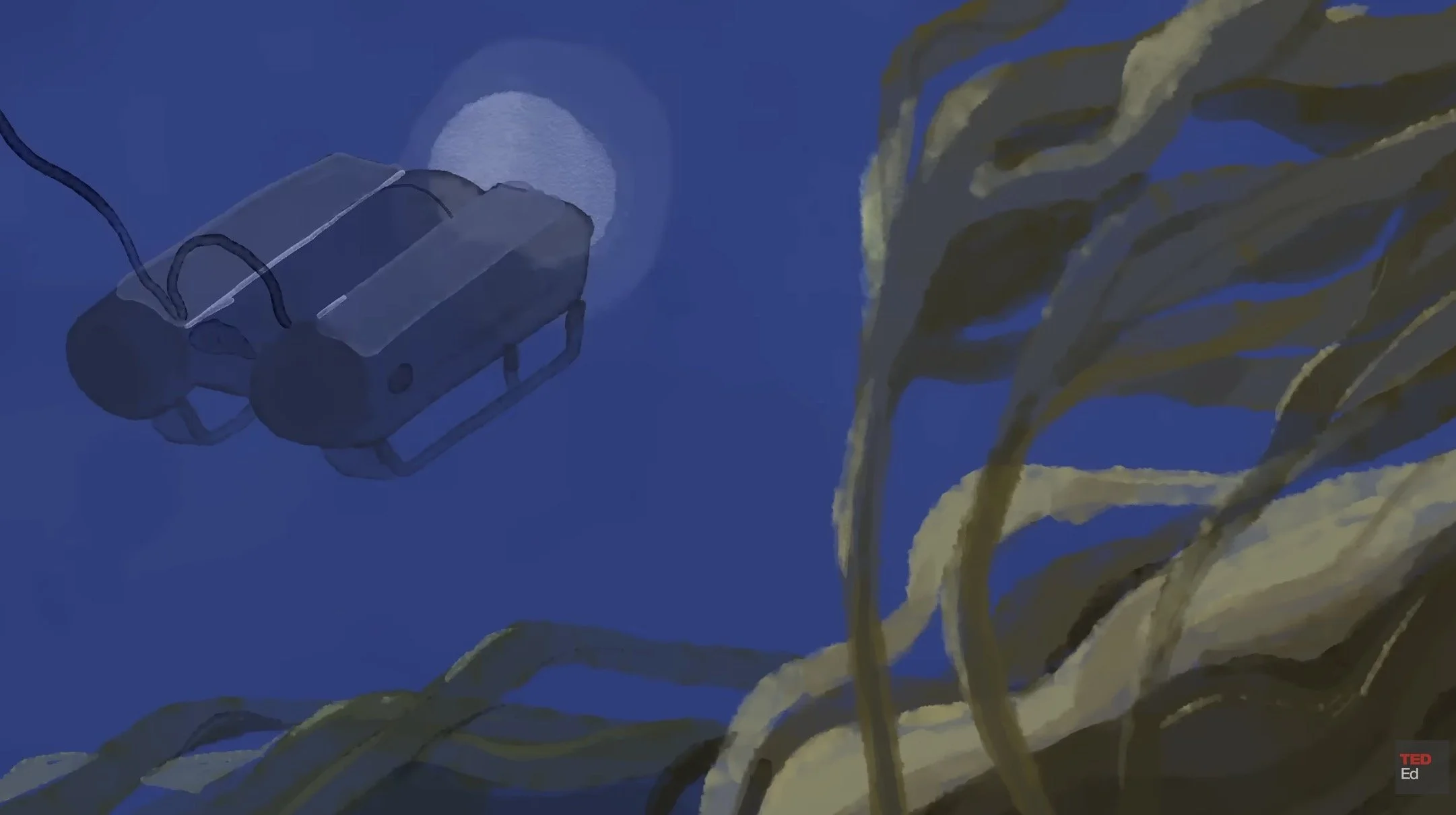 kelp_TED_31.43 PM.JPG