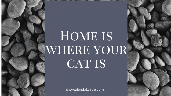 Home is Where Your Cat Is