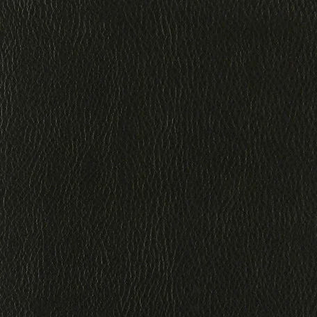 Eco Leather INCA Black 11