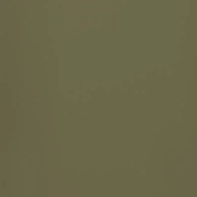 38 Metal Textured matt Olive Green