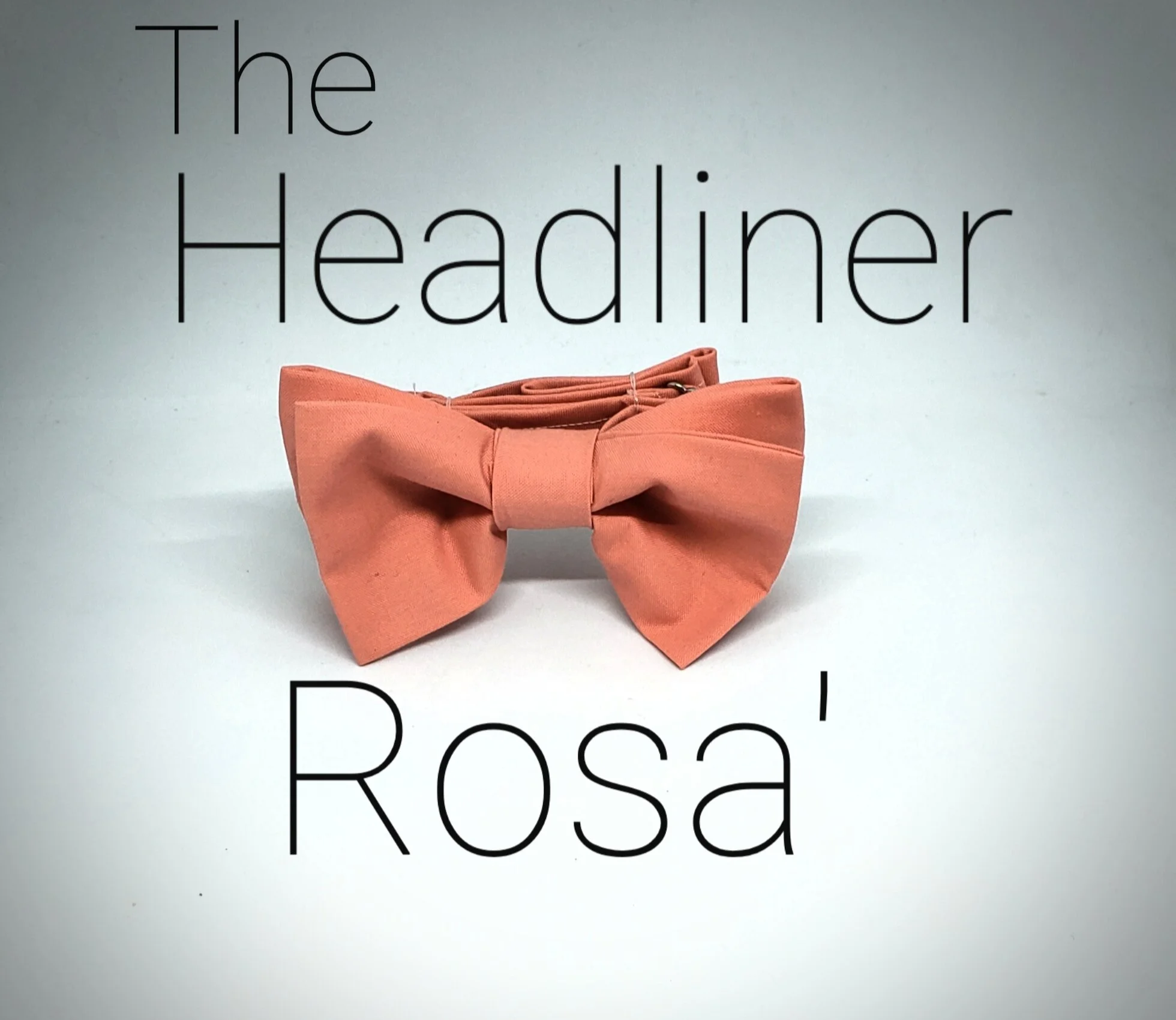 "Rosa" The Headliner