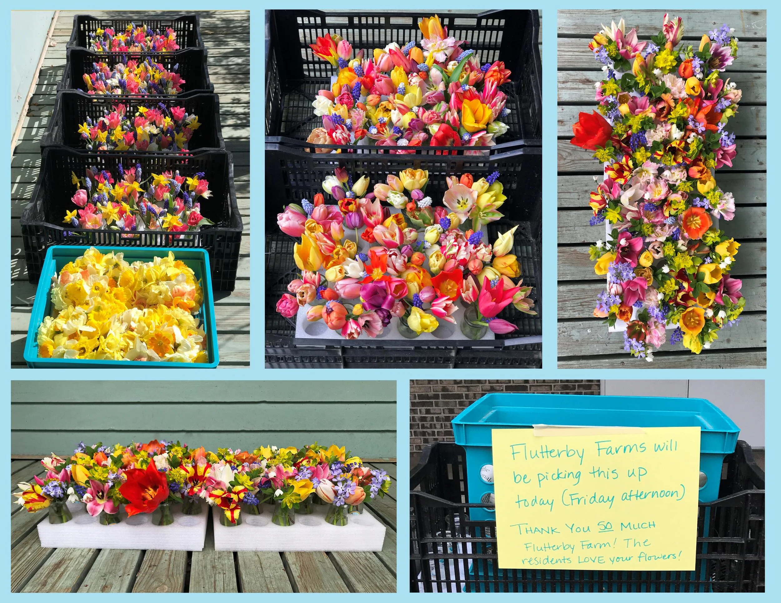 Bouquet Donation Program — Flutterby Flower Farm