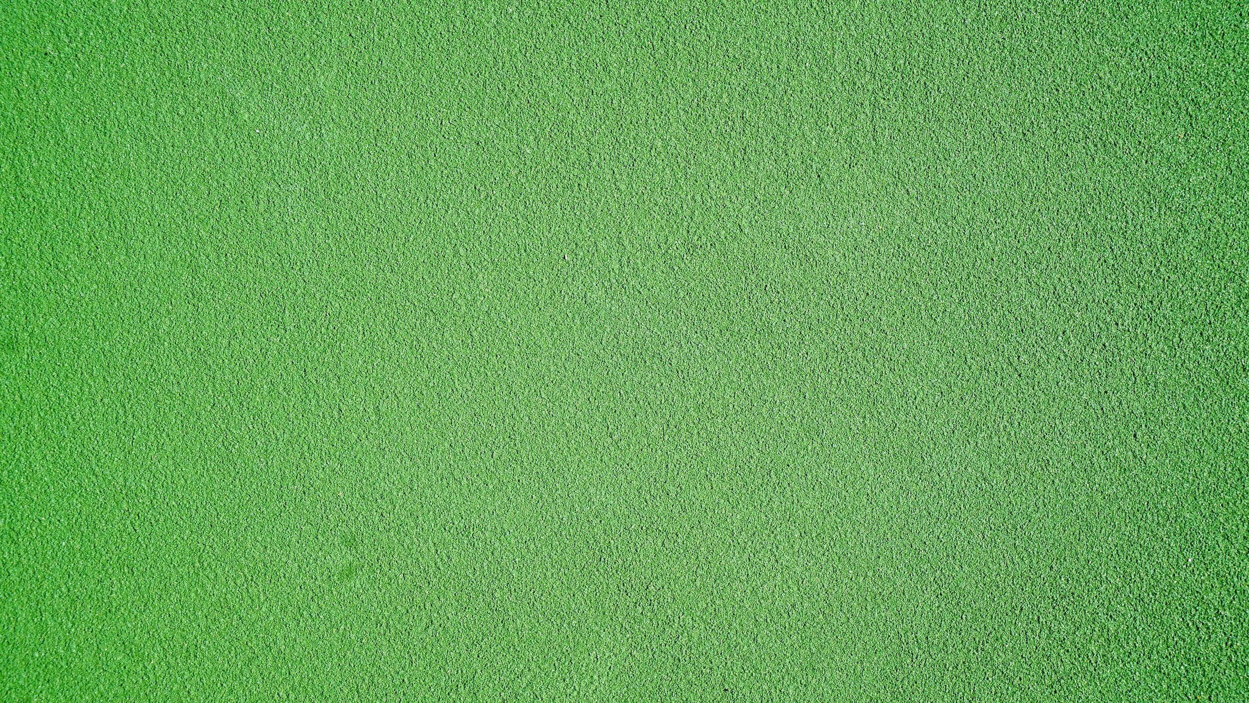 World Mental Health Day Declares 'Mental Health Is a Universal Human Right'