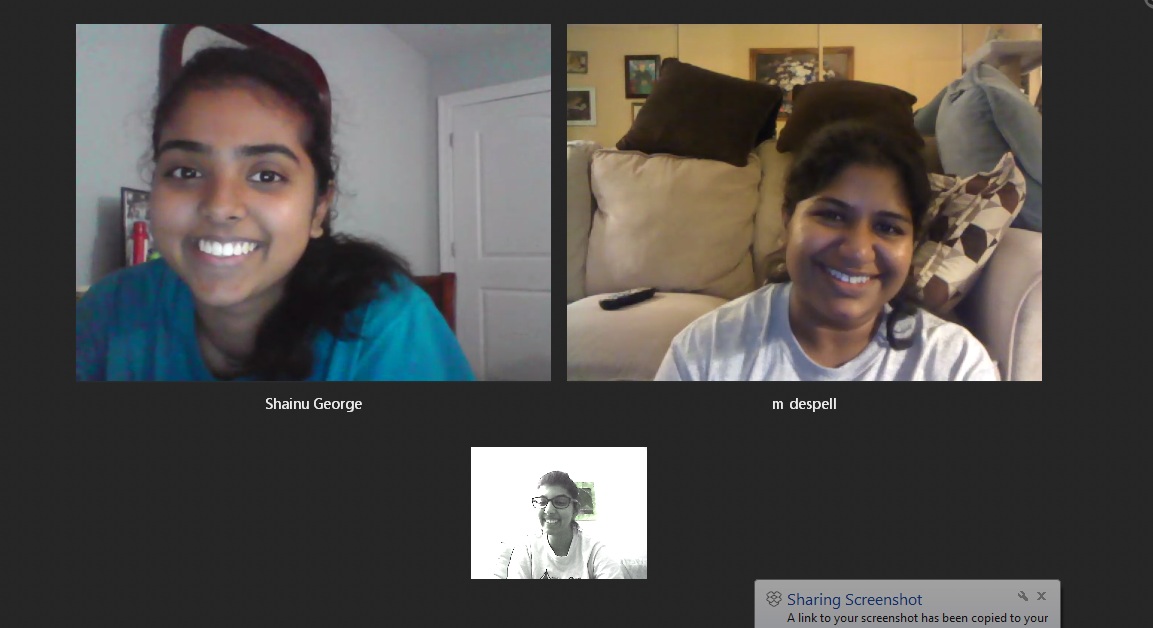 Skype+Shainu+Susan.jpg