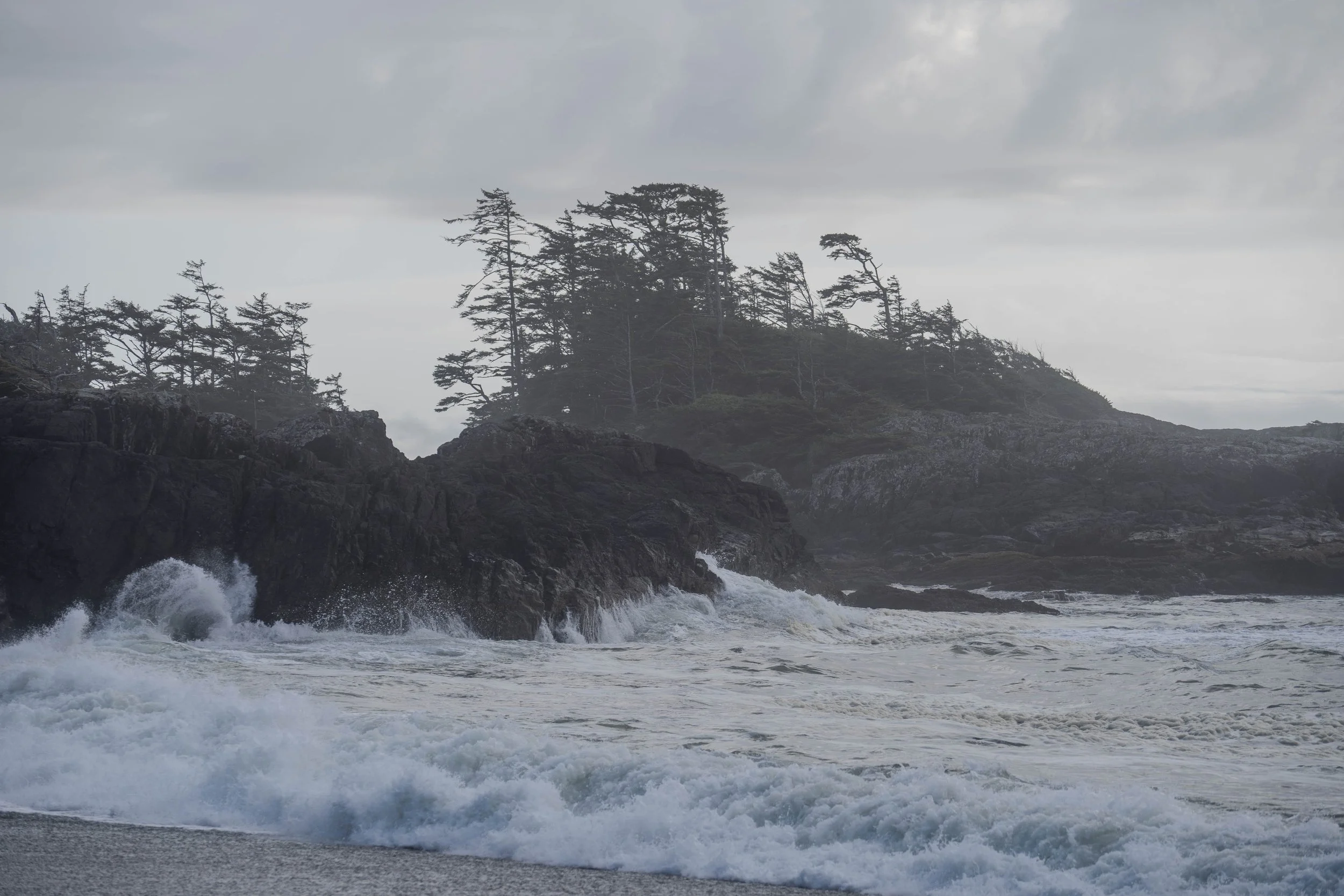 Tofino_Ucluelet-33.jpg