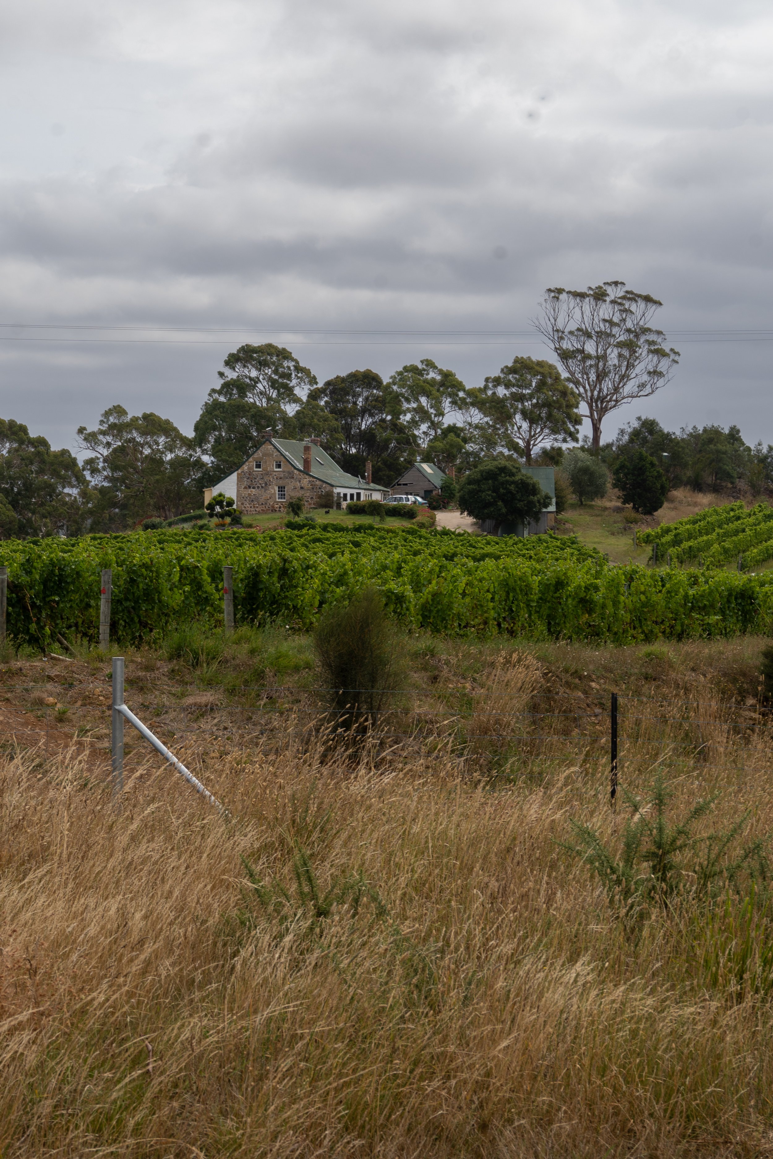 Craigie_winery_2_7-12.jpg
