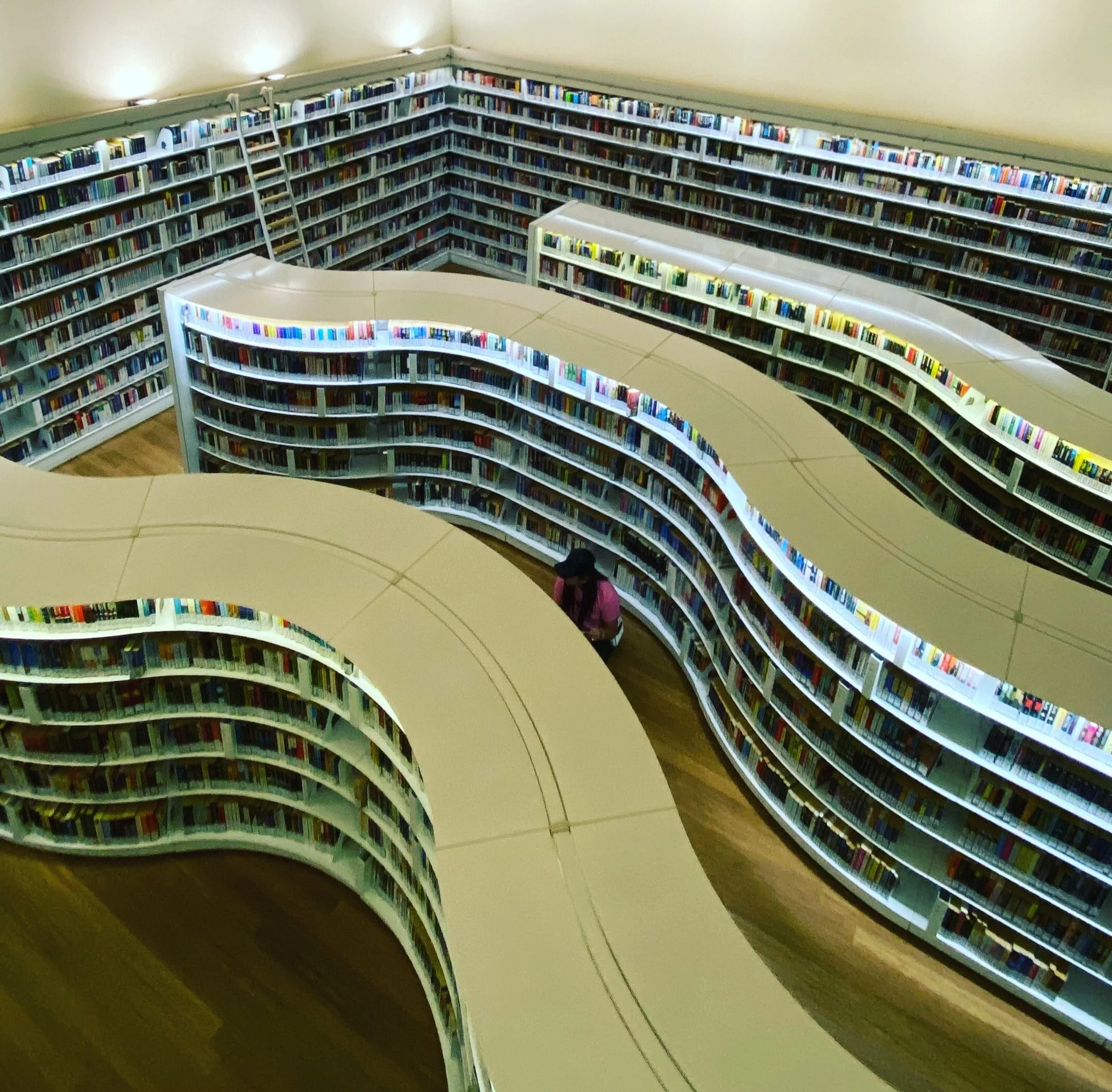 Public Libraries &amp; Digital Inclusion: Connecting Communities 