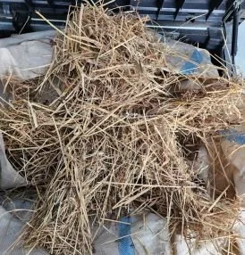 Straw Person Arguments, Whole Person Responses