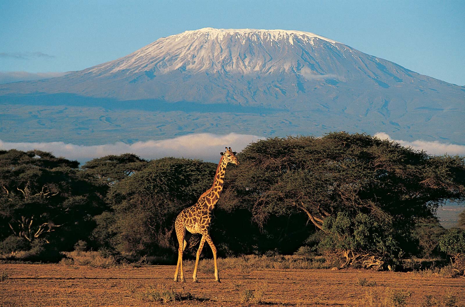 Mount-Kilimanjaro-Tanzania.jpeg