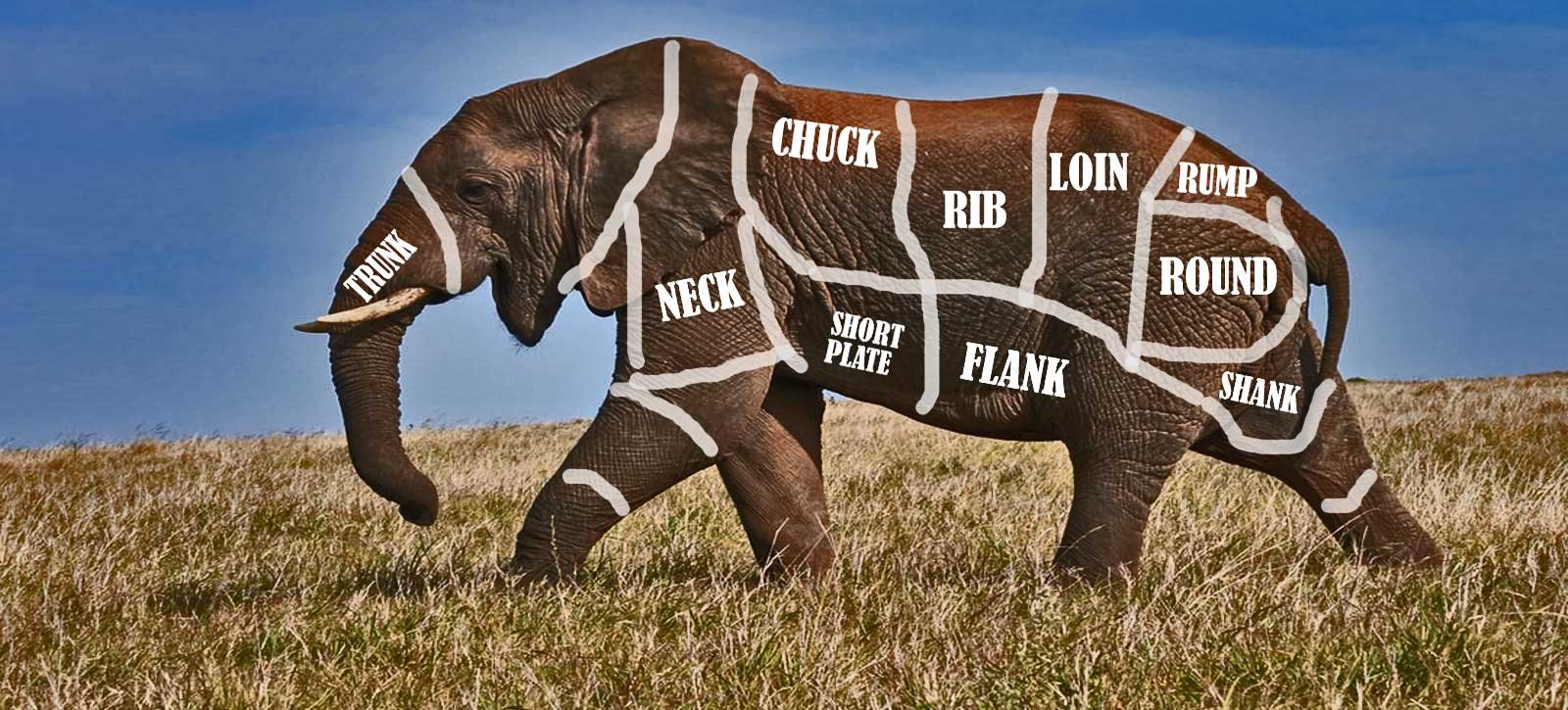 How do you eat an elephant?