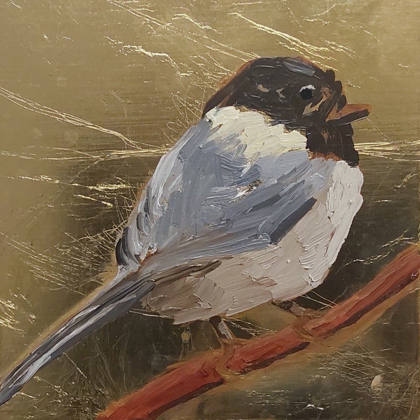 Chickadee, 2024