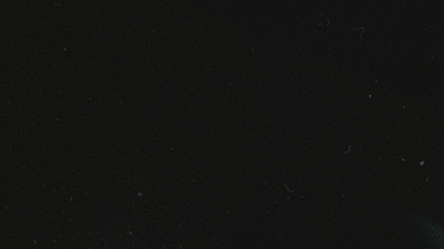 Film Burn 1.gif