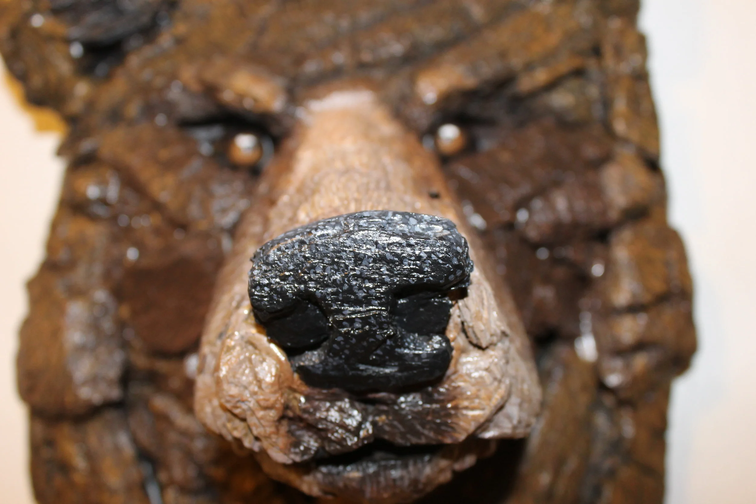 Grizzly Bear