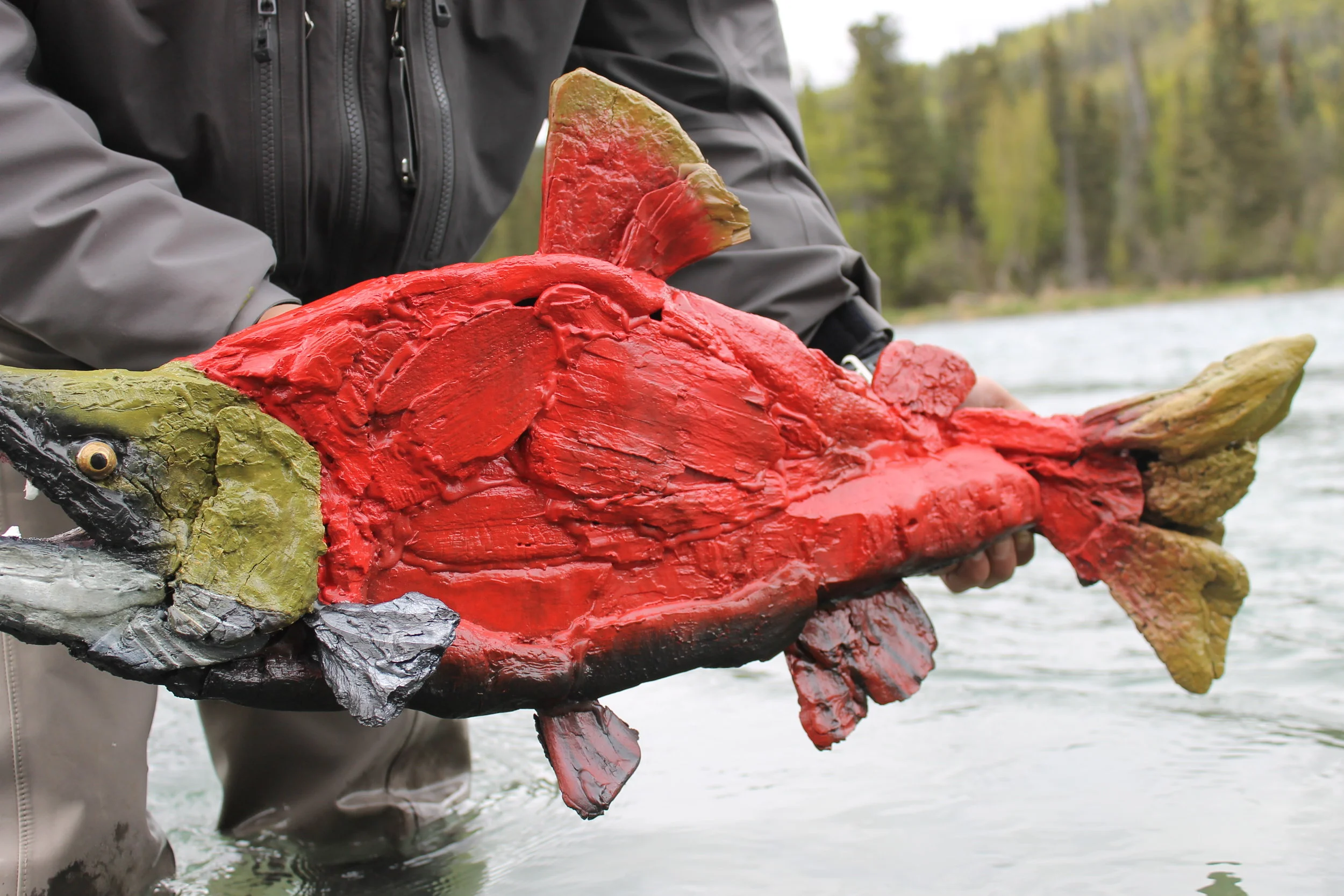 Sockeye Salmon