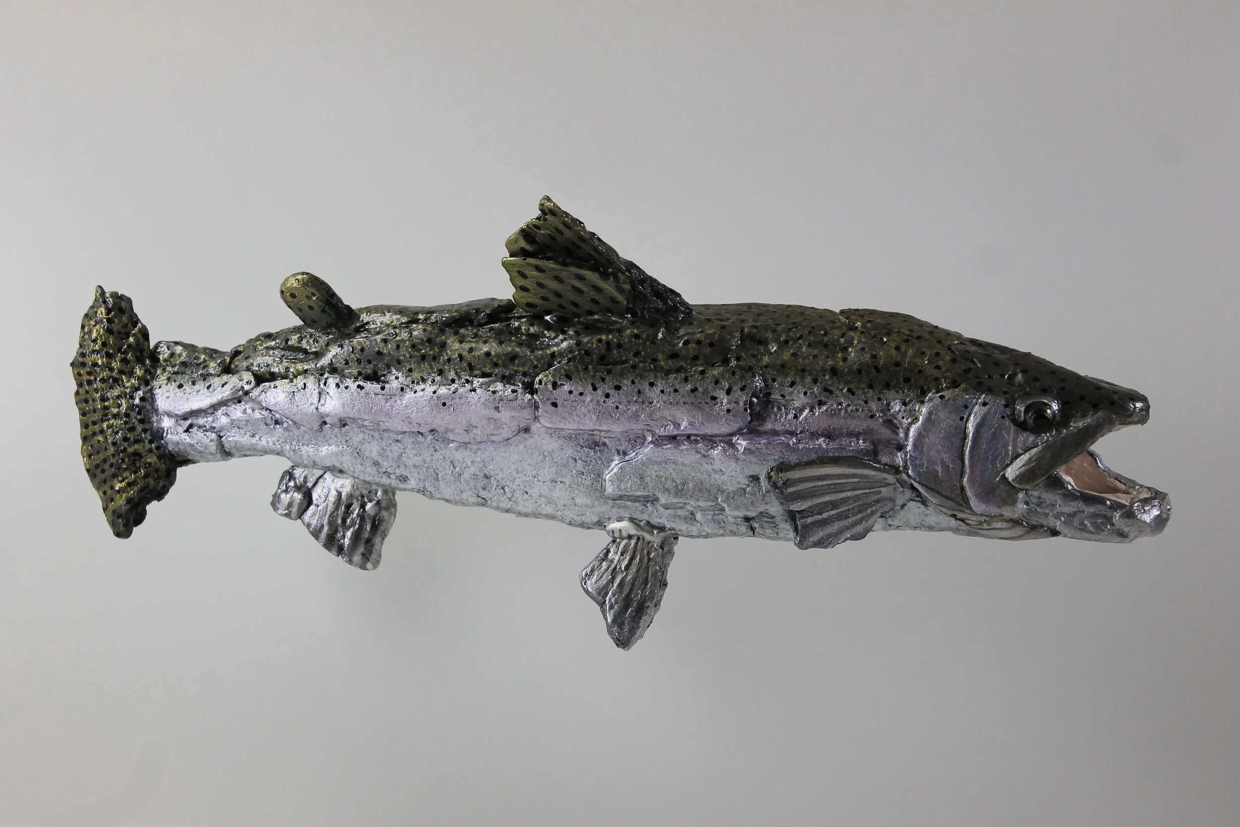 Steelhead