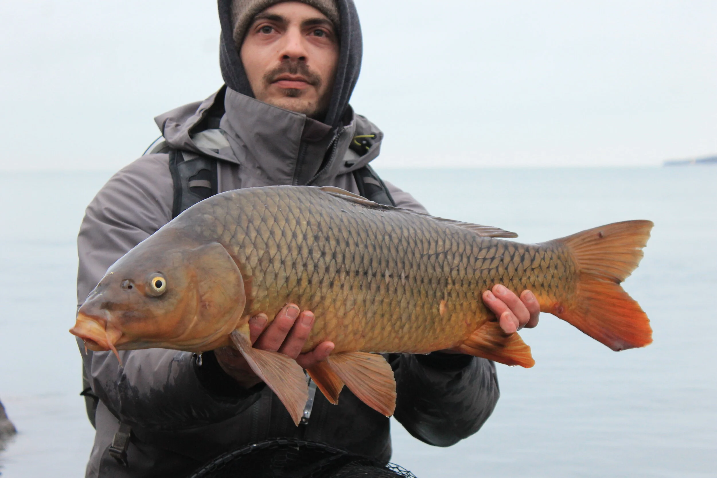 Lake Michigan carp taken on a size 4 cray cray. cray.