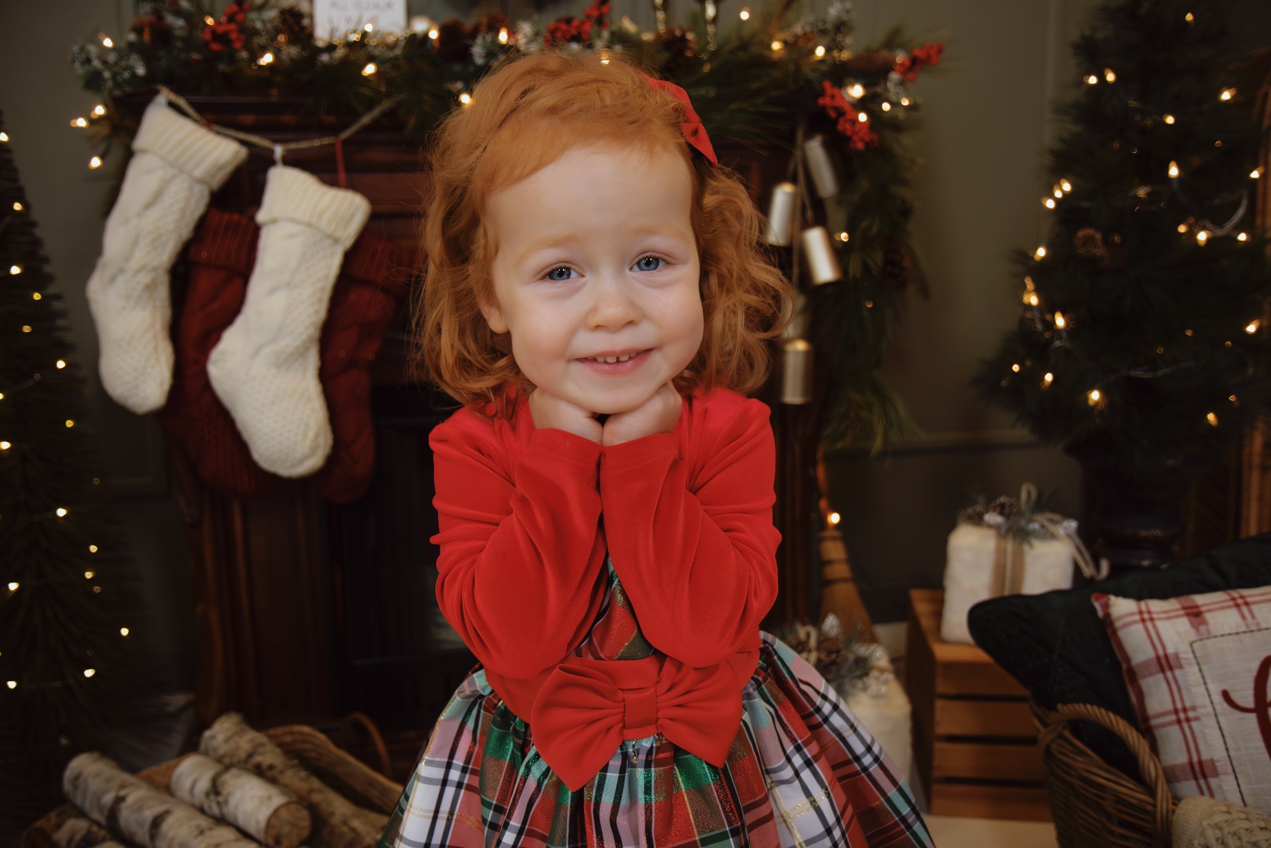 Holiday Minis 2-.jpg