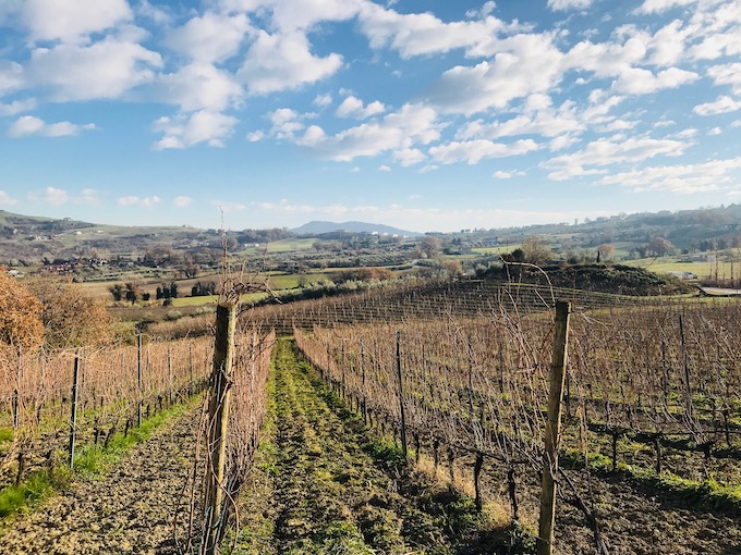 San Marino wineries and vineyards.jpg