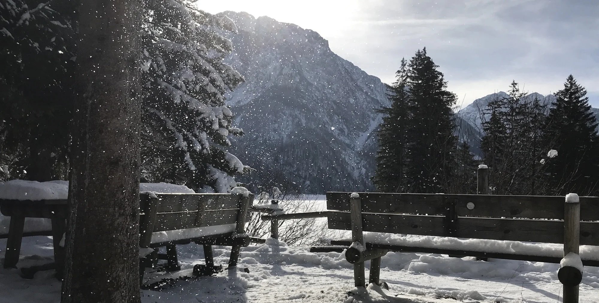 Wine Travel Guide For Slovenia Up Next Destinations