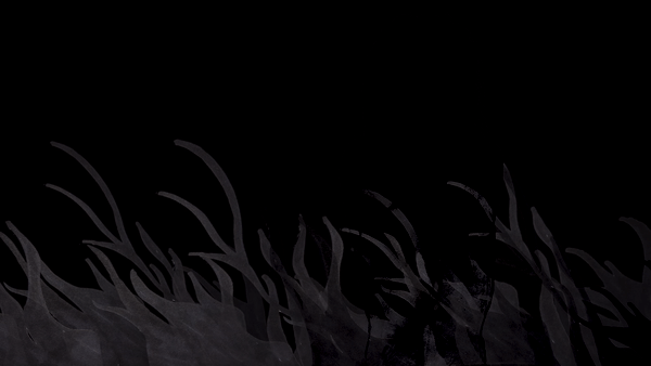ezgif.com-video-to-gif (2).gif