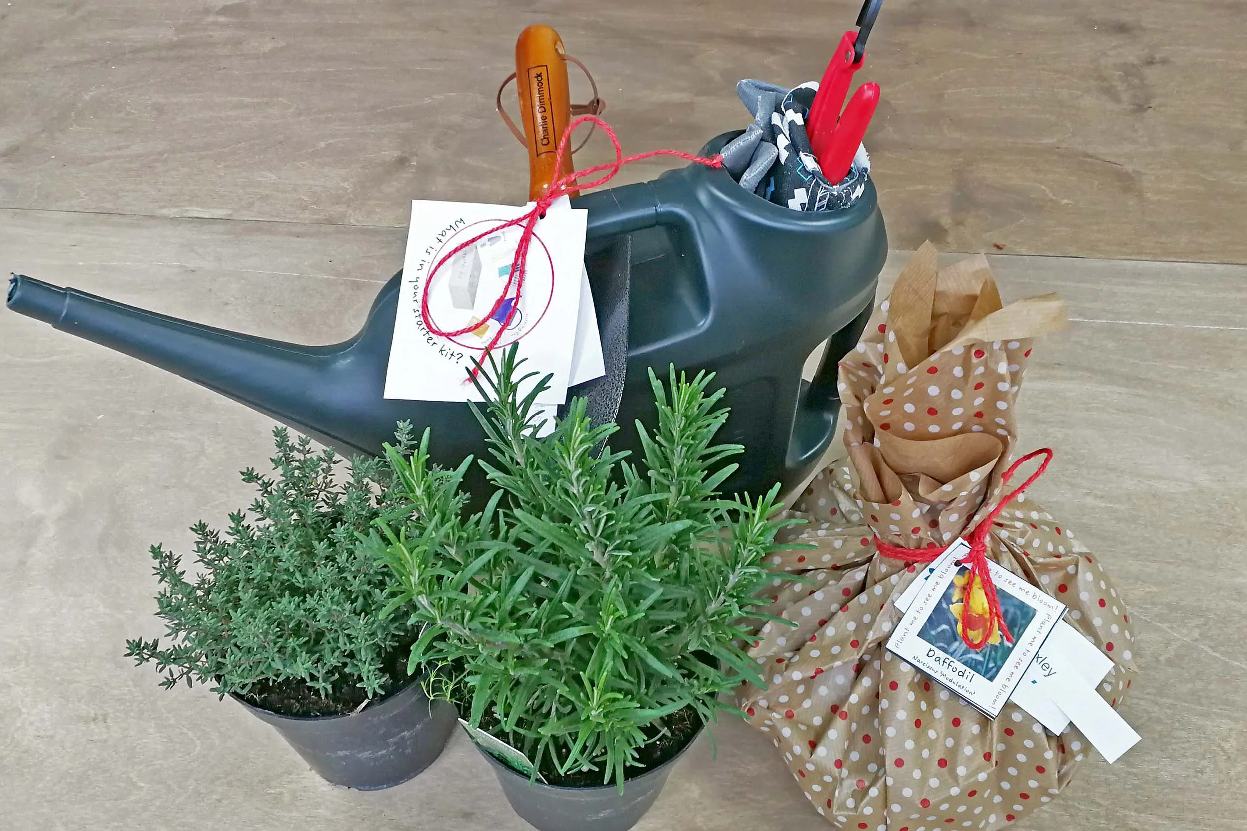 Starter gardening kits were gifted to new residents.