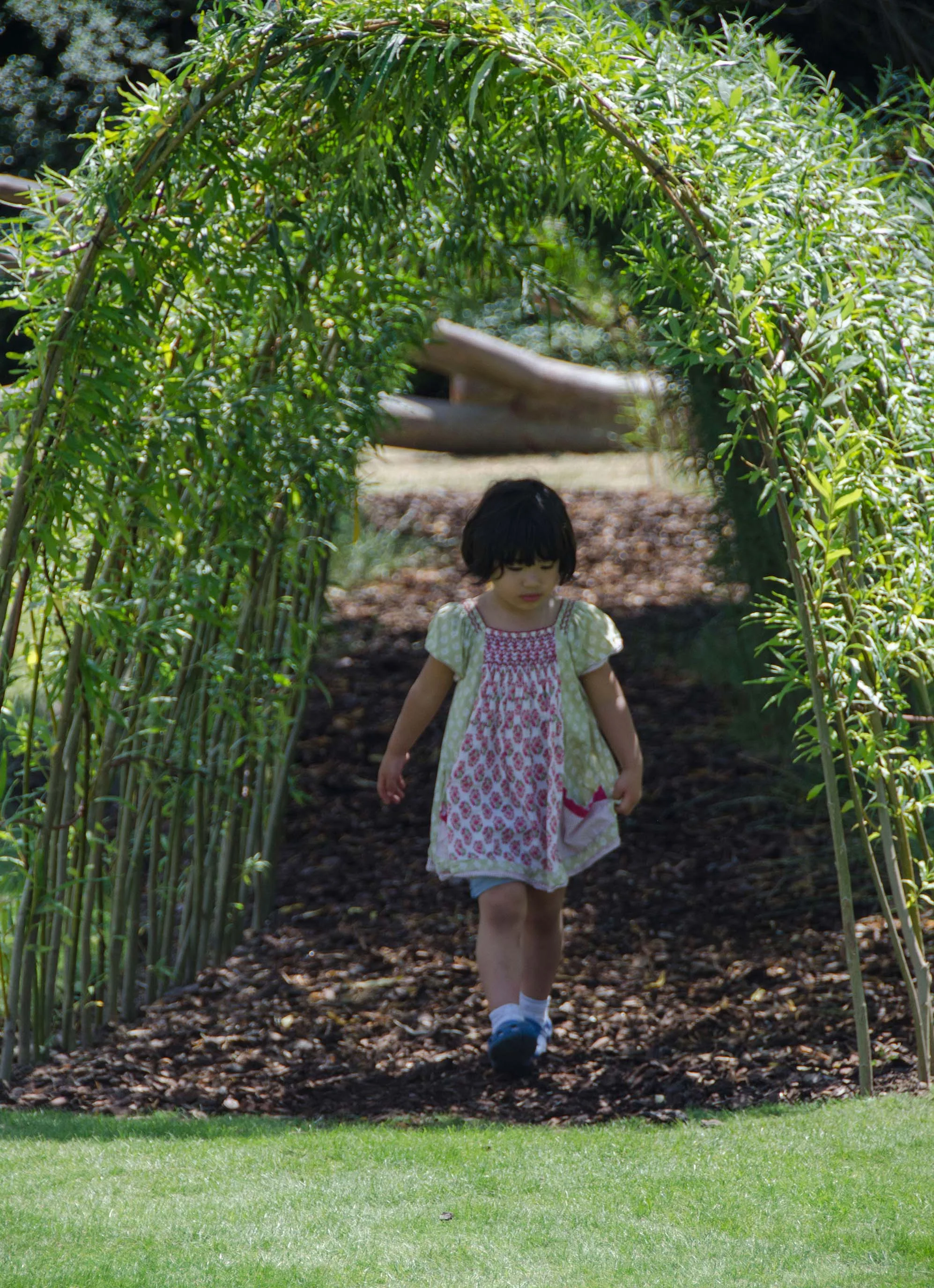    Approach     Working with our Knowledge   Our understanding of children and play led to the use of multiple scales, colours and materials. The three zones allow children of all abilities to access different types of play: bark mulch and rubber in 