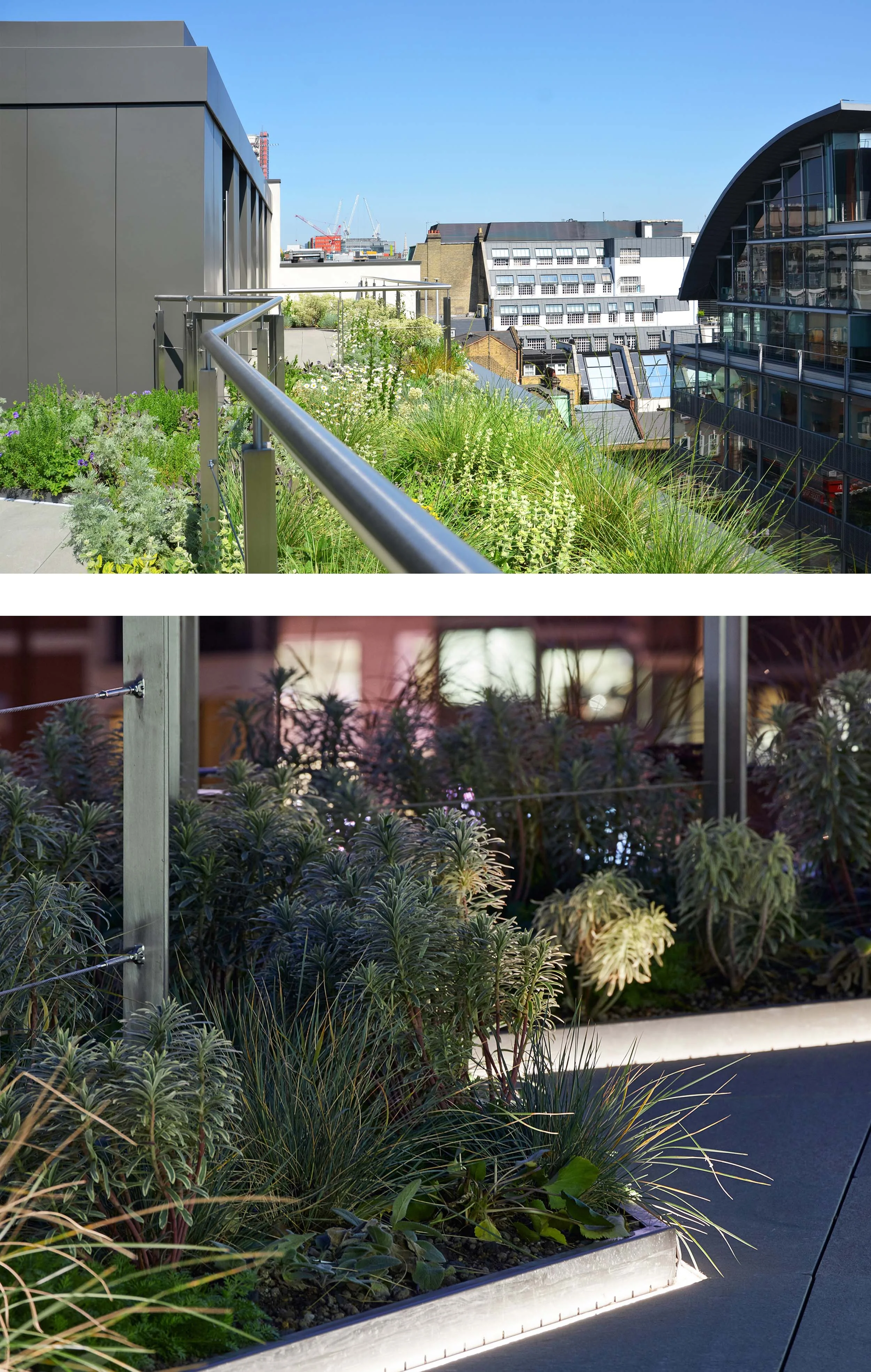 Above two photos: bottom photo ©Andy Stagg.