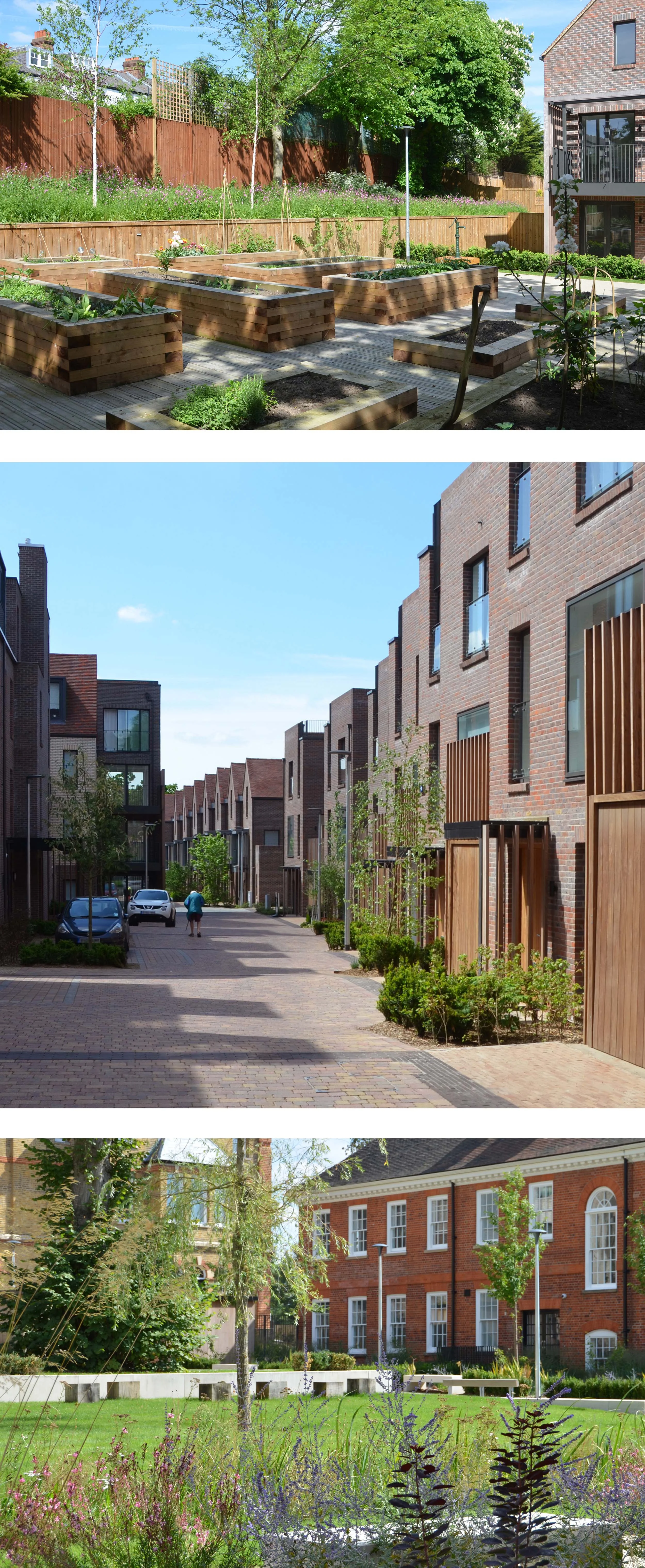    Approach     Design for Social Living   A co-housing area has been established, supporting the growth of a cohesive community. The landscape encompasses an outdoor dining space and allotments with raised beds for accessibility.  Whilst the scheme 
