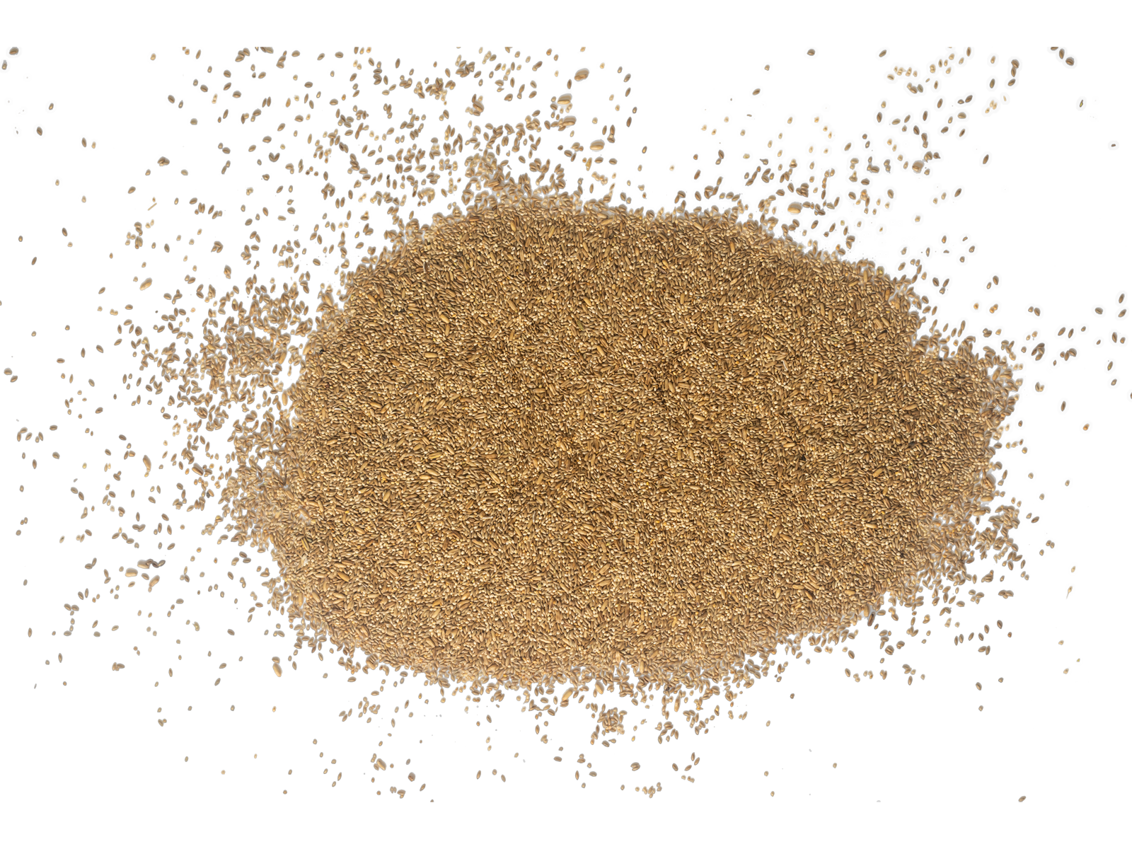 Topflite_AB_BudgieMix_Scatter_LRclearcut.png