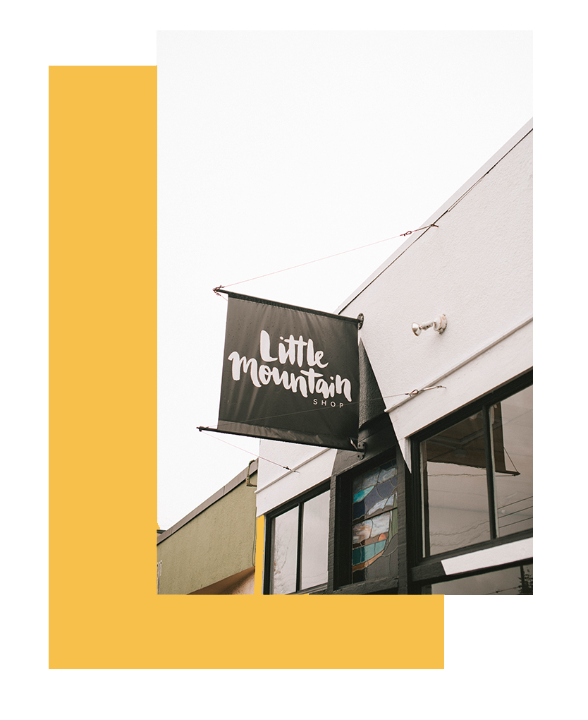 little-mountain-shop_main1.png