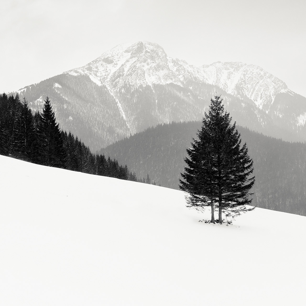 Tatras