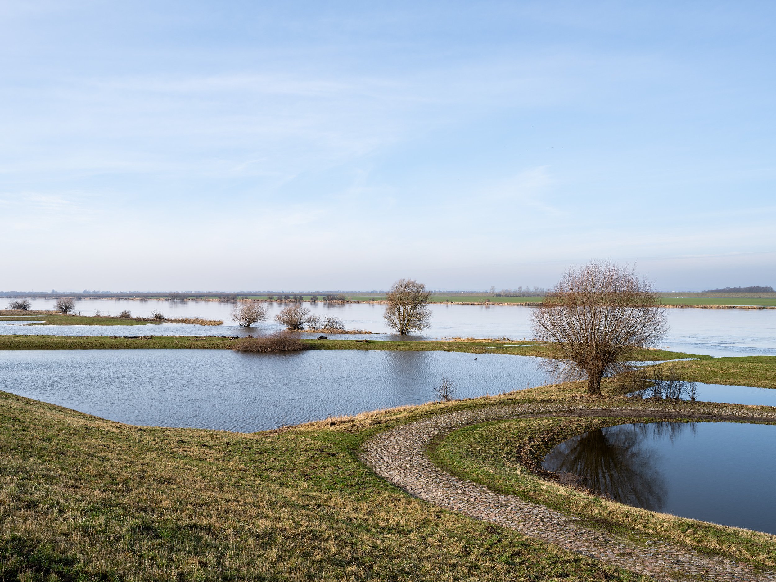 Vistula Floodplains